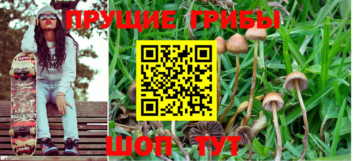 Дедовск  Псилоцибиновые грибы мицелий  Галлюциногенные грибы GOLDEN TEACHER  Вход с VPN 